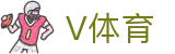 V体育 - 城市体育赛事运营商